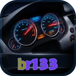 br133