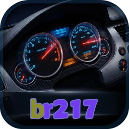 br217